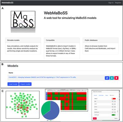 WebMaBoSS: A Web Interface for Simulating Boolean Models Stochastically